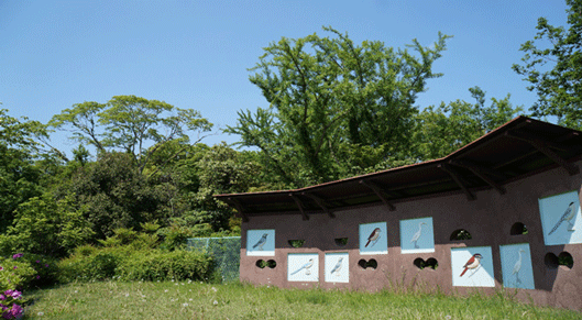 撮影者：小川久男 （事務局）　撮影地：工業団地の西側に隣接する菅間緑地 （壁の覗き穴から隣地に来た野鳥を観察できます。）