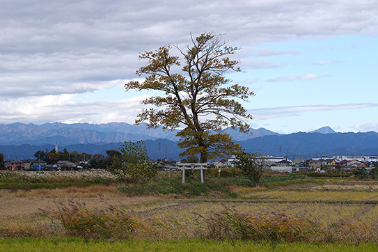 平野桂介氏撮影写真